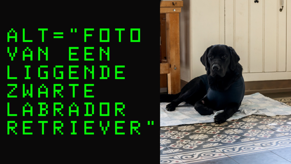 Foto van hulphond Vance. De zwarte labrador ligt op een tegelvloer. Links van de foto van de hond staat een tekst weergegeven: 'Alt="Foto van een liggende zwarte labrador retriever".'