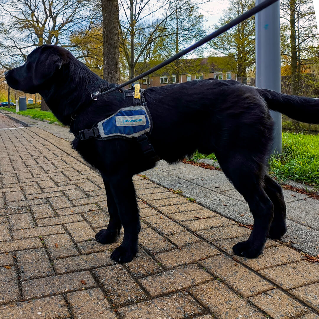 Maatschappelijk verantwoord ondernemen. Maatschappelijk Verantwoord Ondernemen MVO.