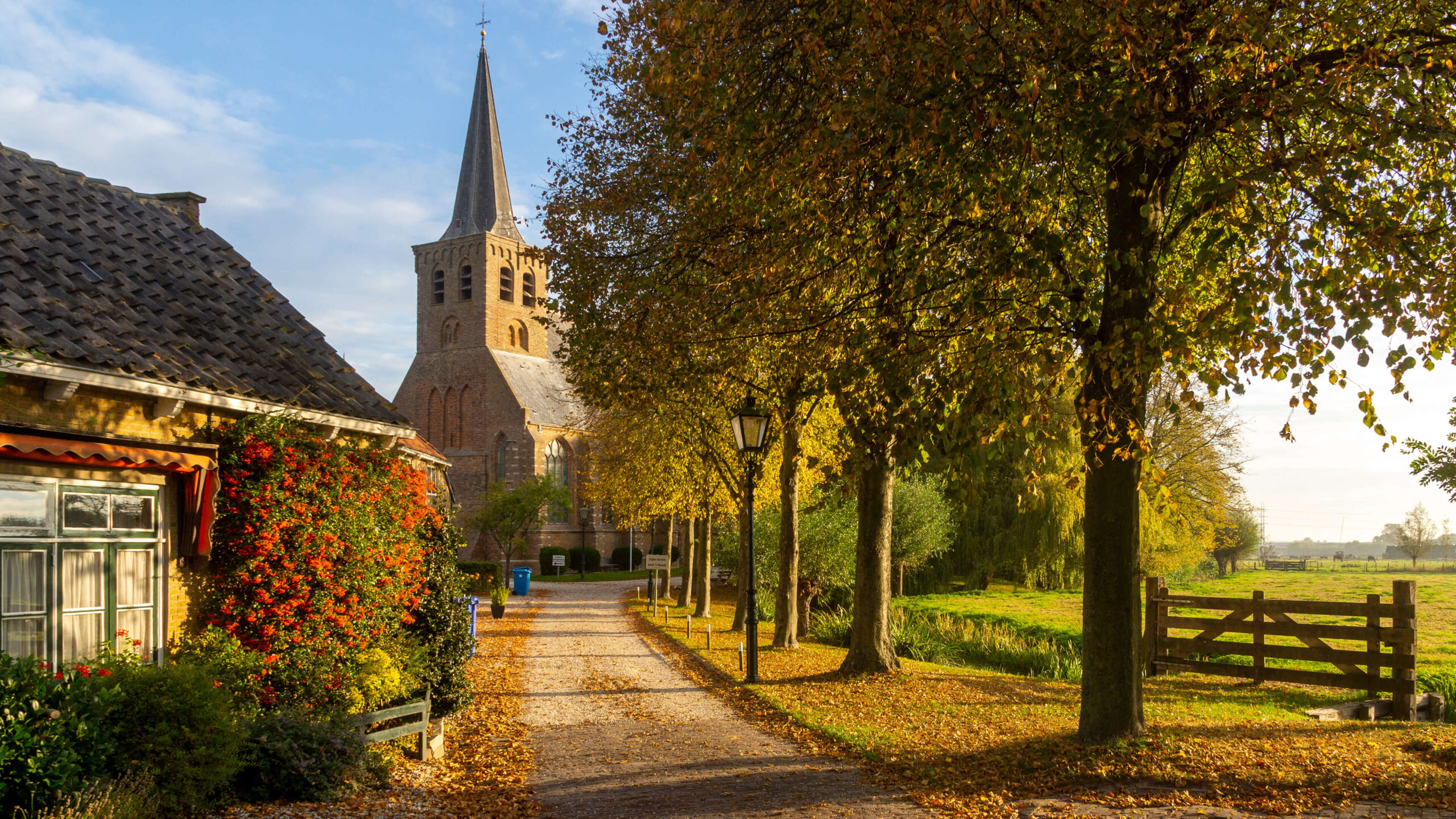 Website laten maken in 't-Woud (Midden Delfland). Website laten maken in 't-Woud (Midden Delfland).