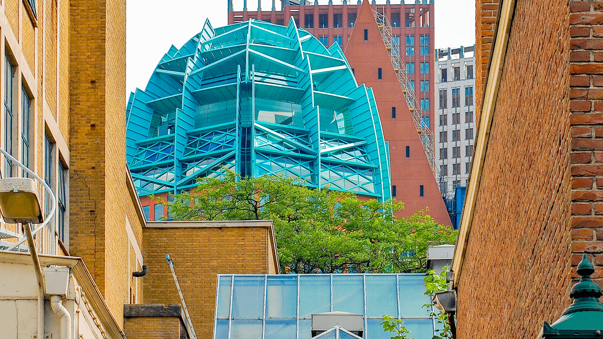 Website laten maken voor je bedrijf in Den Haag. Website laten maken voor je bedrijf in Den Haag.