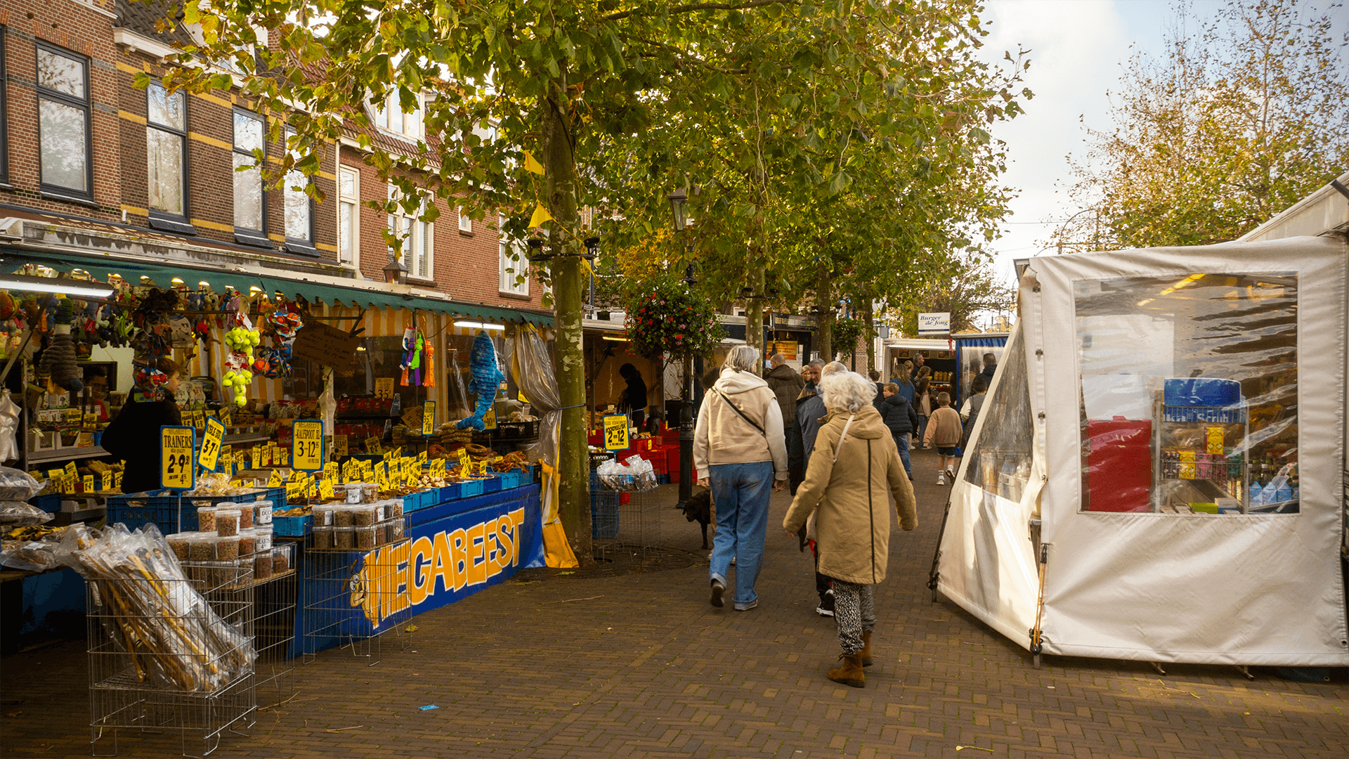 Website laten maken voor detailhandel of onderneming in persoonlijke dienstverlening zoals een kapsalon, beautysalon, massagesalon en wat voor een salon ook!